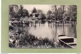 CHAMPS   Bords  De L'Eau - Champs Sur Yonne