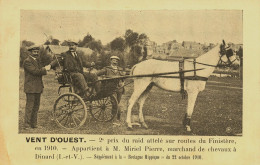 Dinard * CPA * Cheval VENT D'OUEST à Mr MIRIEL Pierre * 1910 * 2ème Prix Raid Attelé Finistère * Hippisme Hippique - Dinard