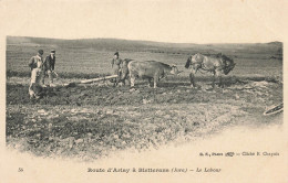 Route D'arlay à Bletterans * Le Labour * Attelage Boeufs Cheval Scène Agricole Agriculture Labourage - Other & Unclassified