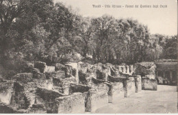 CARTOLINA NON VIAGGIATA TIVOLI VILLA ADRIANA LAZIO (ZK1260 - Tivoli