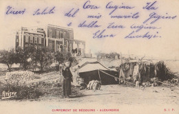 CARTOLINA VIAGGIATA CAMPMENT DE BEDOUINS ALEXANDRIE EGITTO (ZX1018 - Alexandrie