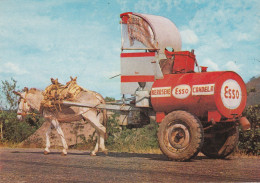 Delcampe - CPSM CARTAGENA COLOMBIA COCHE ESSO - Kolumbien