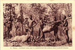 PC AFRICA PAOUA ANTILOPE TUÉES FRENCH EQUATORIAL AFRICA (a51560) - Central African Republic