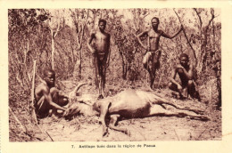 PC AFRICA PAOUA ANTILOPE TUÉES FRENCH EQUATORIAL AFRICA (a51565) - Centrafricaine (République)