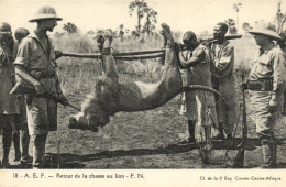 PC AFRICA RETOUR DE LA CHASSE AU LION FRENCH EQUATORIAL AFRICA (a51588) - Centrafricaine (République)