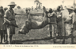 PC AFRICA RETOUR DE LA CHASSE AU LION FRENCH EQUATORIAL AFRICA (a51588) - Central African Republic