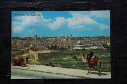 JERUSALEM : La Vieille Ville Vue Du Mont Des Oliviers - Israel