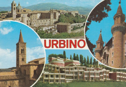 U4605 Urbino - Panorama Vedute Multipla / Non Viaggiata - Urbino