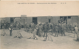 Grève Générale Des Cheminots Du Nord Chemins De Fer La Ligne Occupée Militaires Embarquement Des Chevaux (59) édit. ELD - Grèves