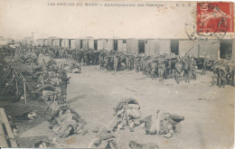 Grève Générale Des Cheminots Du Nord Chemins De Fer La Ligne Occupée Militaires Embarquement Des Chevaux (59) édit. ELD - Huelga
