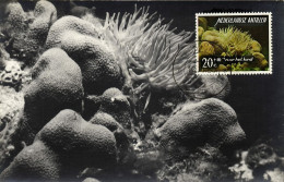 Curacao, N.A., First Day Edition, Sea Anemone, Coral (1965) RPPC Postcard - Curaçao