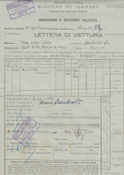 LETTERA DI VETTURA FERROVIE 1951 (XF540 - Europe