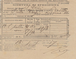 RICEVUTA SPEDIZIONE FERROVIE 1909 (XF461 - Europa