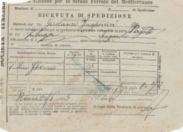 RICEVUTA SPEDIZIONE TRENO 1903 STRADE FERRATE DEL MEDITERRANEO (XF332 - Europe