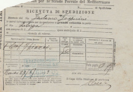 RICEVUTA SPEDIZIONE TRENO 1903 STRADE FERRATE DEL MEDITERRANEO (XF331 - Europa