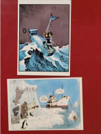 Lot De 4 Cartes Greenpeace , Illustrateurs Moderne  1984 - Other & Unclassified