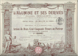 L'ALUMINE ET SES DERIVES - ACTION ILLUSTREE DE DEUX CENT CINQUANTE FRANCS  -ANNEE 1898 - Miniere
