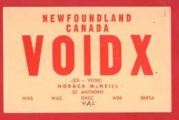 CANADA    NEWFOUNDLAND  AMATEUR RADIO CARD   ST ANTHONY - Autres & Non Classés