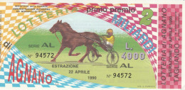 BIGLIETTO LOTTERIA  (BN549 - Billetes De Lotería