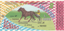 BIGLIETTO LOTTERIA  (BN533 - Billetes De Lotería