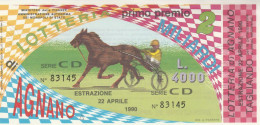 BIGLIETTO LOTTERIA  (BN531 - Billetes De Lotería