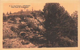 ORGELET - NOTRE DAME DU MONT ORGIER - Orgelet