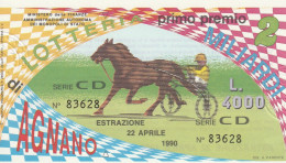 BIGLIETTO LOTTERIA (M_812 - Billetes De Lotería