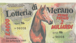 BIGLIETTO LOTTERIA (M_813 - Billetes De Lotería