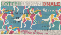 BIGLIETTO LOTTERIA (M_788 - Billetes De Lotería