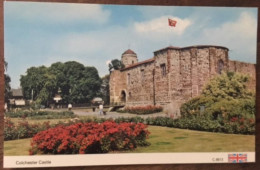 CPSM, Angleterre England, COLCHESTER, Castle, écrite En 1985 - Colchester