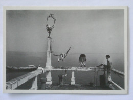 NATATION / Plongeon - Carte Postale Moderne Reproduisant Une Photo De JL LE GALL - Schwimmen