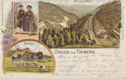 Delcampe - Gruss Aus Triberg - Bauernhaus - Schwarzwaldbahn - Litho - Verlag F. Pfahrer, Holzschnitzerei, Triberg - Triberg