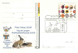 622  Lièvre D'Europe: Entier(cp) + Oblit. Temp. D'Allemagne, 2006 - European Hare Pictorial Cancel From Germany. Rabbit - Conejos