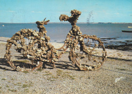 CPSM (17) -LE D'OLERON-.Le Chateau.Sur Le Port , Station Ostréicole , Collecteur Original Après 3 Ans D'immersion - Saint-Pierre-d'Oleron