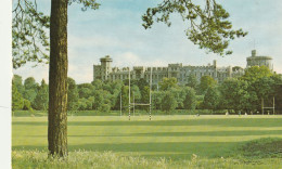 The Castle From Home Park, Windsor - Windsor Castle
