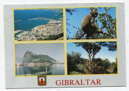 AK 187341 GIBRALTAR - Gibraltar