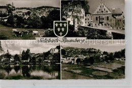 42808468 Sulzbach-Rosenberg Rathaus Freibad Panorama Kuhweide Sulzbach-Rosenberg - Sulzbach-Rosenberg