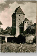 42808441 Amberg Oberpfalz Stadtmauer Amberg - Amberg