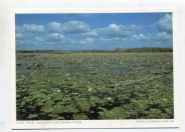 AK 187409 AUSTRALIA - Lakefield National Park - Cape York - Altri & Non Classificati