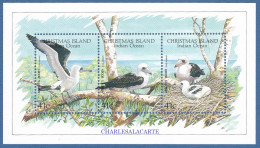 CHRISTMAS ISLAND 1990  BIRD  ABBOTT'S BOOBY  M.S.  SG MS 307  U.M. - Christmas Island