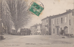 34 - HERAULT GIGNAC  L'AVENUE DE LODEVE - Gignac