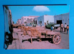 Cp, DJIBOUTI, Une Rue, Attelages, ânes, Automobiles, écrite, Ed. André Bourlon - Djibouti