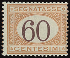 ITALY ITALIA REGNO 1924 60 CENT. SEGNATASSE (Sass. 33) NUOVO LINGUELLATO OFFERTA! - Taxe