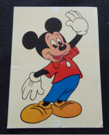 MICKEY-MOUSE - Altri & Non Classificati