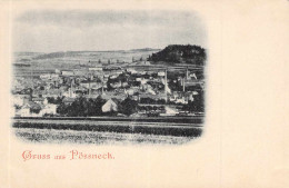Gruss Aus Pössneck - Panorama - Pössneck