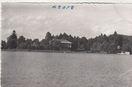 E486)  FAAKERSEE Kärnten - Alte S/W FOTO AK - Faakersee-Orte