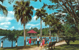 1 AK Singapur * Mcritchie Reservoir In Singapore - One Of The Three Main Sources Of Water Supply On The Island * - Singapour