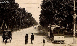 13 MARSEILLE - CPA PS NV RR De L'avenue Du PRADO - TRAMWAY 469, FIACRE, REVERBERE - Castellane, Prado, Menpenti, Rouet