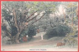 SINGAPOUR - VERY OLD COLOUR CPA NV GP - (49) BOTANICAL GARDEN , SINGAPORE - Jardin Botanique, Arbre Somptueux - Singapour