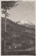 E536) Tennengebirge Bei ABTENAU Tolle Original FOTO AK - - Abtenau